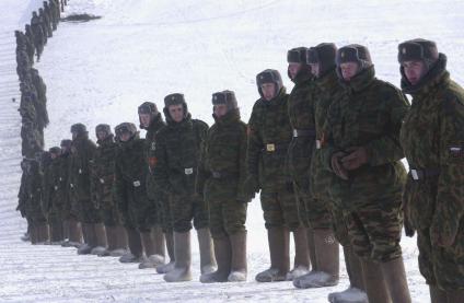 Зима, в поле стоит шеренга солдат в зимней форме одежды.