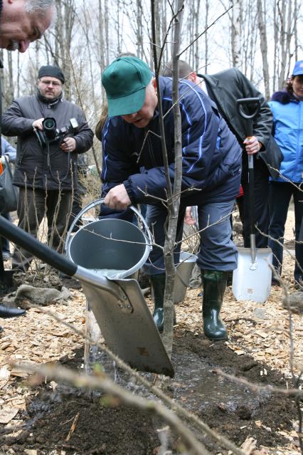 Юрий Лужков сажает дерево