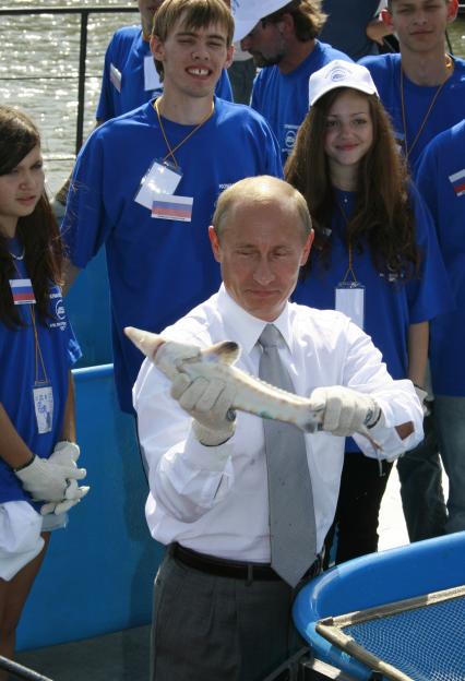 Владимир Владимирович Путин в Астрахани на рыбзаводе. Держит осетра.