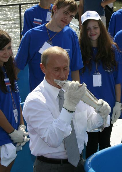 Владимир Владимирович Путин в Астрахани на рыбзаводе. Держит осетра.