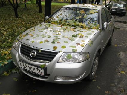 авто nissan осень опавшие листья парковка стоянка машин во дворе