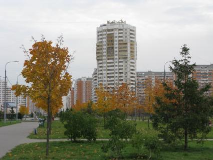 дом дома недвижимость осень панельный