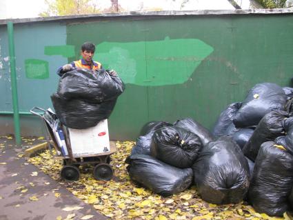 дворник листва мусор листопад уборка вывоз мусора осень