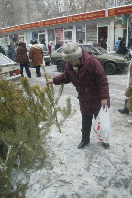 Елочный базар.