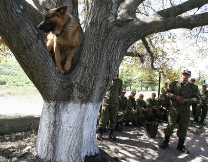 Пограничники на заставе в Осетии