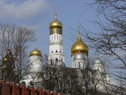 Московский Кремль. Купола Архангельского собора и колокольня Ивана Великого. Вид с Москворецкой набережной.