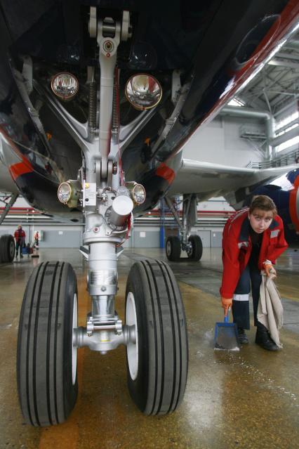 Аэрофлот - Российские авиалинии  VP-BUK Aeroflot - Russian Airlines Airbus A319-112.  шасси самолета