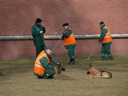 субботник уборка дворники собака