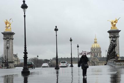 г. Париж - столица Франции, важнейший экономический и культурный центр страны, расположенный в северной части центральной Франции, в регионе Иль-де-Франс на берегах реки Сены. Кроме того Париж имеет большое международное значение . здесь находятся штаб-квартиры ЮНЕСКО, ОЭСР и Международной торговой палаты.   Париж  январь 2008 фото Нечаевой Наталии