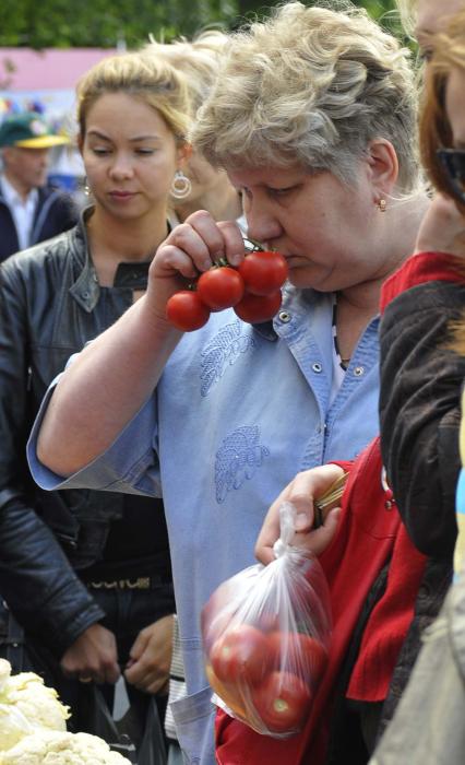 Уличная торговля овощами и фруктами на рынке Москвы.  Рынок. Помидоры. Качество. Проверка. Нитраты.