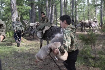 Стойбище оленеводов, рядом с поселком Байкит Красноярского края, 15 июля 2010