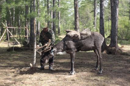 Стойбище оленеводов, рядом с поселком Байкит Красноярского края, 15 июля 2010