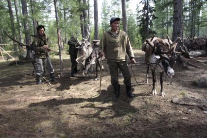 Стойбище оленеводов, рядом с поселком Байкит Красноярского края, 15 июля 2010