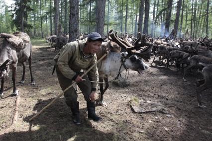 Стойбище оленеводов, рядом с поселком Байкит Красноярского края, 15 июля 2010