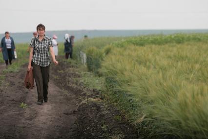 Борьба с сорняками на полях ОПК Михайловский