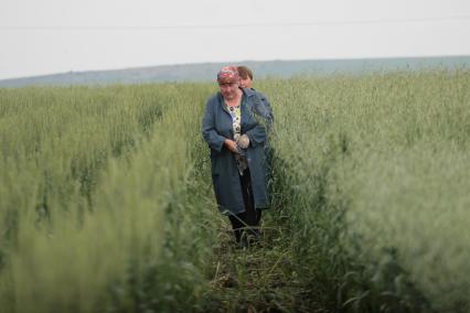 Борьба с сорняками на полях ОПК Михайловский