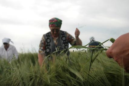 Борьба с сорняками на полях ОПК Михайловский