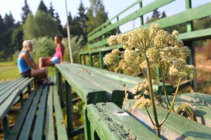 Дети в детском лагере отдыха, Подмосковье, 22 июля 2010 года