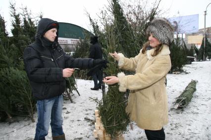 Дата: 26.12.2008, Выбор елки на Новый год.