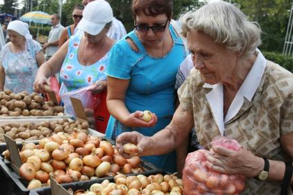 13.08.2010 Самара, Россия. Женщины покупают лук на рынке.