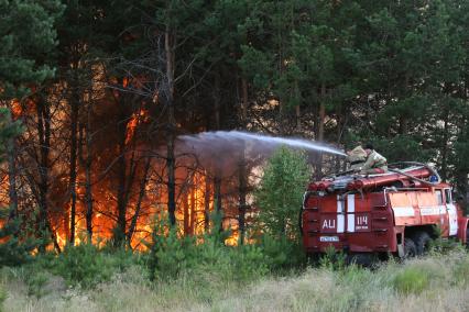 21.07.2010 Самарская область, село Усолье. Лесной пожар