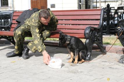 Жанровая съемка, Москва, 6 сентября 2010 года. Собаки. Армия. Домашние животные.