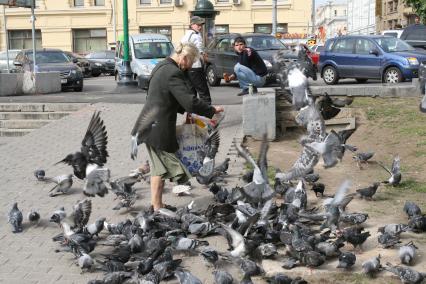 Бабушка кормит голубей,старушка,голуби,город,
старость