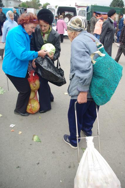 Заготовки на зиму- капуста. Саратов, 2 октября 2010 года. Кочан капусты, ярмарка, овощи, закупка, заготовка на зиму, бабки, пенсия, пенсионная реформа.