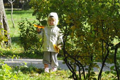 03 октября 2008 года. Осень. Парк. Ребенок собирает листья.