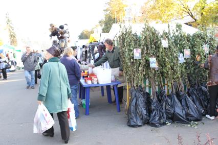 Дата съемки : 08.10.2010. На ВВЦ прошла специализированная выставка-ярмарка плодов и саженцев. На фото : семена, саженцы, удобрения
