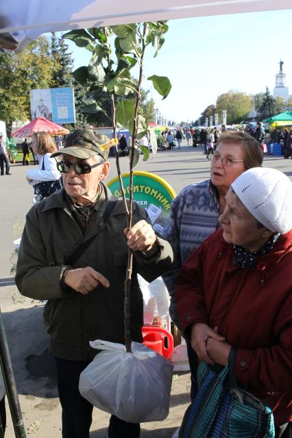 Дата съемки : 08.10.2010. На ВВЦ прошла  специализированная выставка-ярмарка плодов и саженцев. На фото :  саженец,