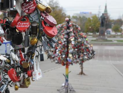 Дата съемки : 20.10.2010.
Свадебная традиция : влюбленные вешают на металическое дерево замочки со своими именами, тем самым навсегда скрепляя свои отношения .
На фото : аллея деревьев  с замочками