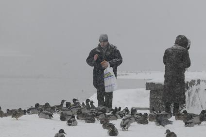 10 января 2010 года. Гуляющие кормят оставшихся на зиму уток.