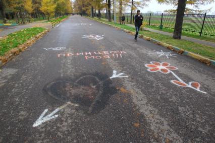 Дата съемки : 25.10.2010.
Рисунки на асфальте