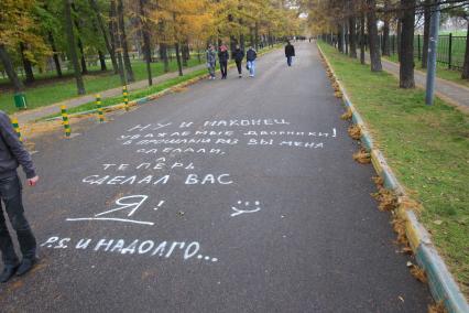 Дата съемки : 25.10.2010.
Рисунки на асфальте