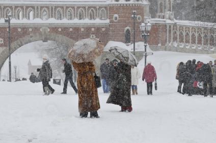 14 февраля 2009 года. Зима. Дамы с зонтами под снегом.