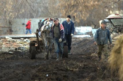 17.11.2010 Самара, Россия. Мужчина ведёт лошадь