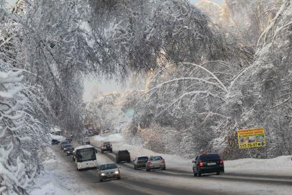 Дата съемки: 04.01.2011 г. Москва  лед, обледенение, деревья, Ледяной дождь, падения деревьев, дорога