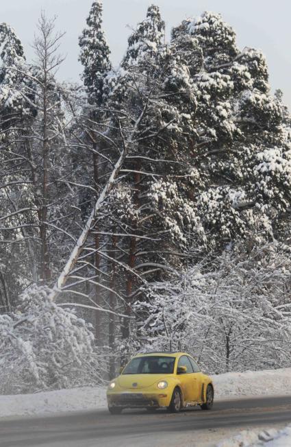 Дата съемки: 04.01.2011 г. Москва лед, обледенение, деревья, Ледяной дождь, падения деревьев, дорога, машина