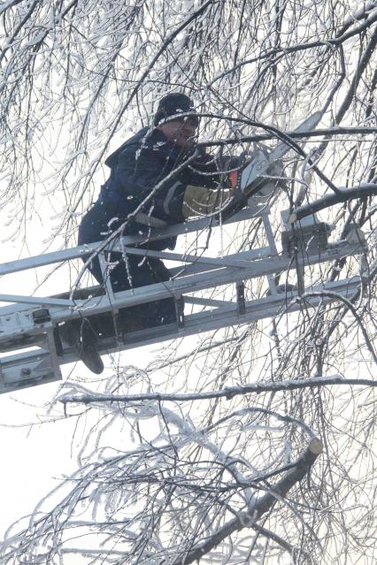 Дата съемки: 04.01.2011 г. Москва  лед, обледенение, деревья, Ледяной дождь, падения деревьев пилят дерево