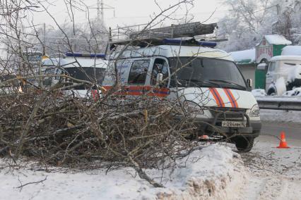 Дата съемки: 04.01.2011 г. Москва  лед, обледенение, деревья, Ледяной дождь, падения деревьев, газель