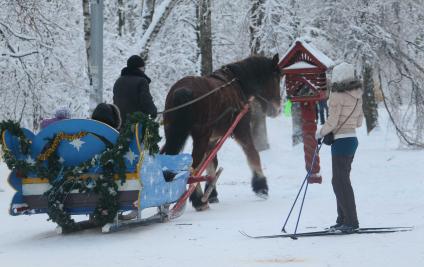 Дата съемки: 05.01.2011  Лошадь сани, зима