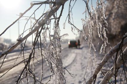 Последствия ледяного дождя. случившегося 26 декабрая 2010 года и повредившего линии электропередач в Московской области. Сергиево-Посадском районе. в деревне Дергаево. Акция КП - передача жителям деревни бутылки шампанского. коробки конфет. упаковки свечей и двух больших коробков спичек. 7 января 2011 года. фото Сергей Шахиджанян