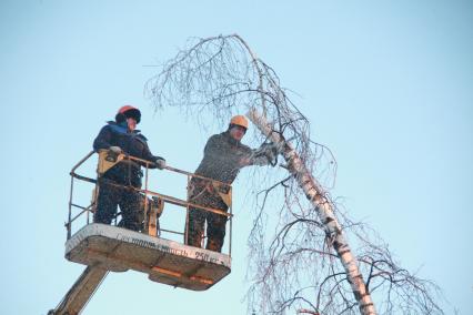 Последствия ледяного дождя. случившегося 26 декабрая 2010 года и повредившего линии электропередач в Московской области. Сергиево-Посадском районе. в деревне Дергаево. Акция КП - передача жителям деревни бутылки шампанского. коробки конфет. упаковки свечей и двух больших коробков спичек. 7 января 2011 года. фото Сергей Шахиджанян