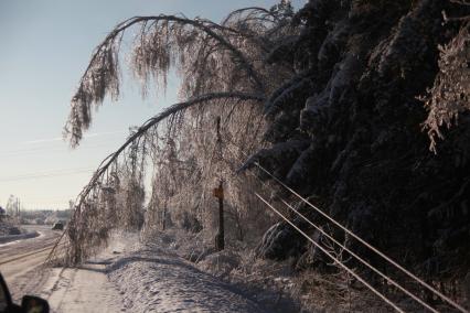 Последствия ледяного дождя. случившегося 26 декабрая 2010 года и повредившего линии электропередач в Московской области. Сергиево-Посадском районе. в деревне Дергаево. Акция КП - передача жителям деревни бутылки шампанского. коробки конфет. упаковки свечей и двух больших коробков спичек. 7 января 2011 года. фото Сергей Шахиджанян