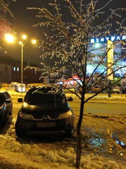 Дата съемки: 08 декабря 2010. Москва. Деревья покрытые льдом.