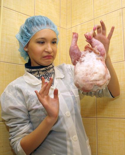 Девушка в белом халате и чепчике брезгливо смотрит на замороженную курицу, Саратов, 23 декабря 2010 года. Курица, полуфабрикат, проверка качества, сертификация, некачественный товар, заморозка, окорочка, мясная промышленность, антисанитария, санэпиднадзор, испорценный продукт, молодая хозяйка, повар, общепит,