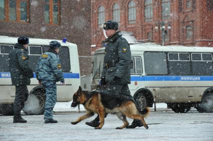 Россия. Москва. 15 января 2011. Манежная площадь, милиция, милиционер. Служебная собака.