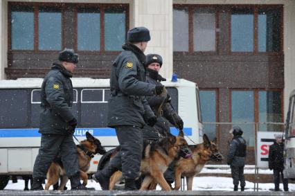 Россия. Москва. 15 января 2011. Манежная площадь, милиция, милиционер. Служебная собака.