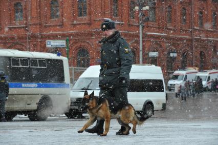 Россия. Москва. 15 января 2011. Манежная площадь, милиция, милиционер. Служебная собака.